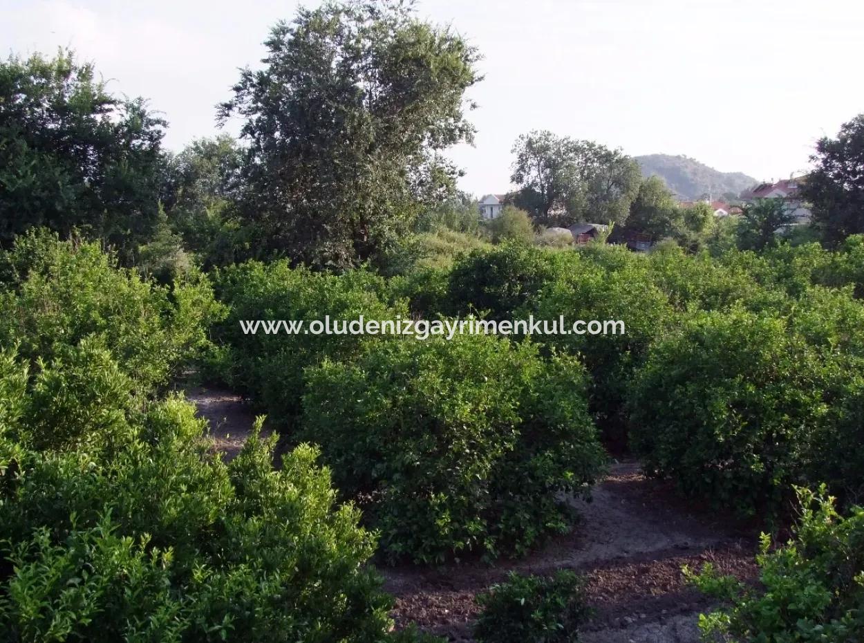 Nahe Dem Zentrum Von Dalyan In Dalyan Grundstück Für Verkauf Zum Verkauf 987M2