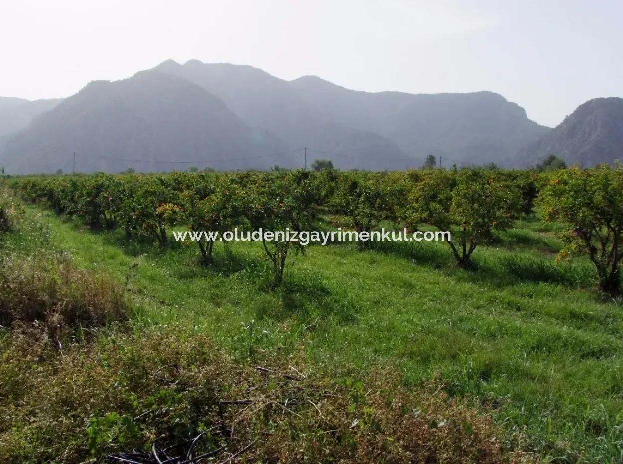 Merkez Dalyan Iztuzu See-Garten-Villa Zum Verkauf