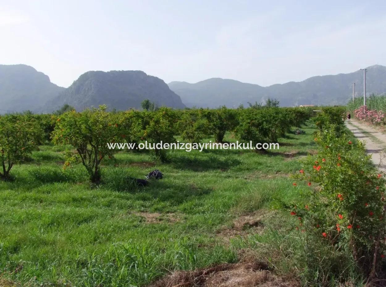 Merkez Dalyan Iztuzu See-Garten-Villa Zum Verkauf