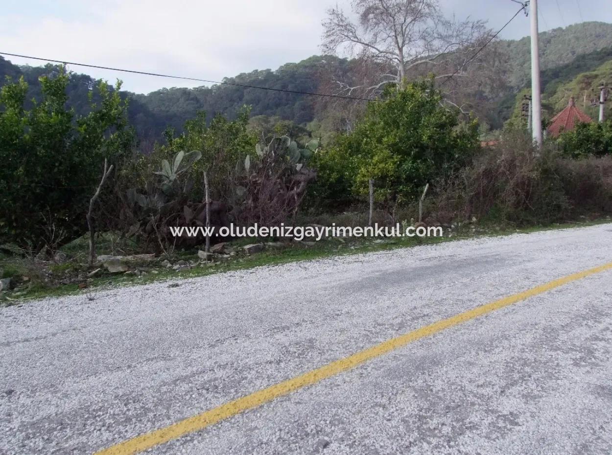 Zum Verkauf In Koycegiz, Dalyan Grundstück Zum Verkauf 10629M2