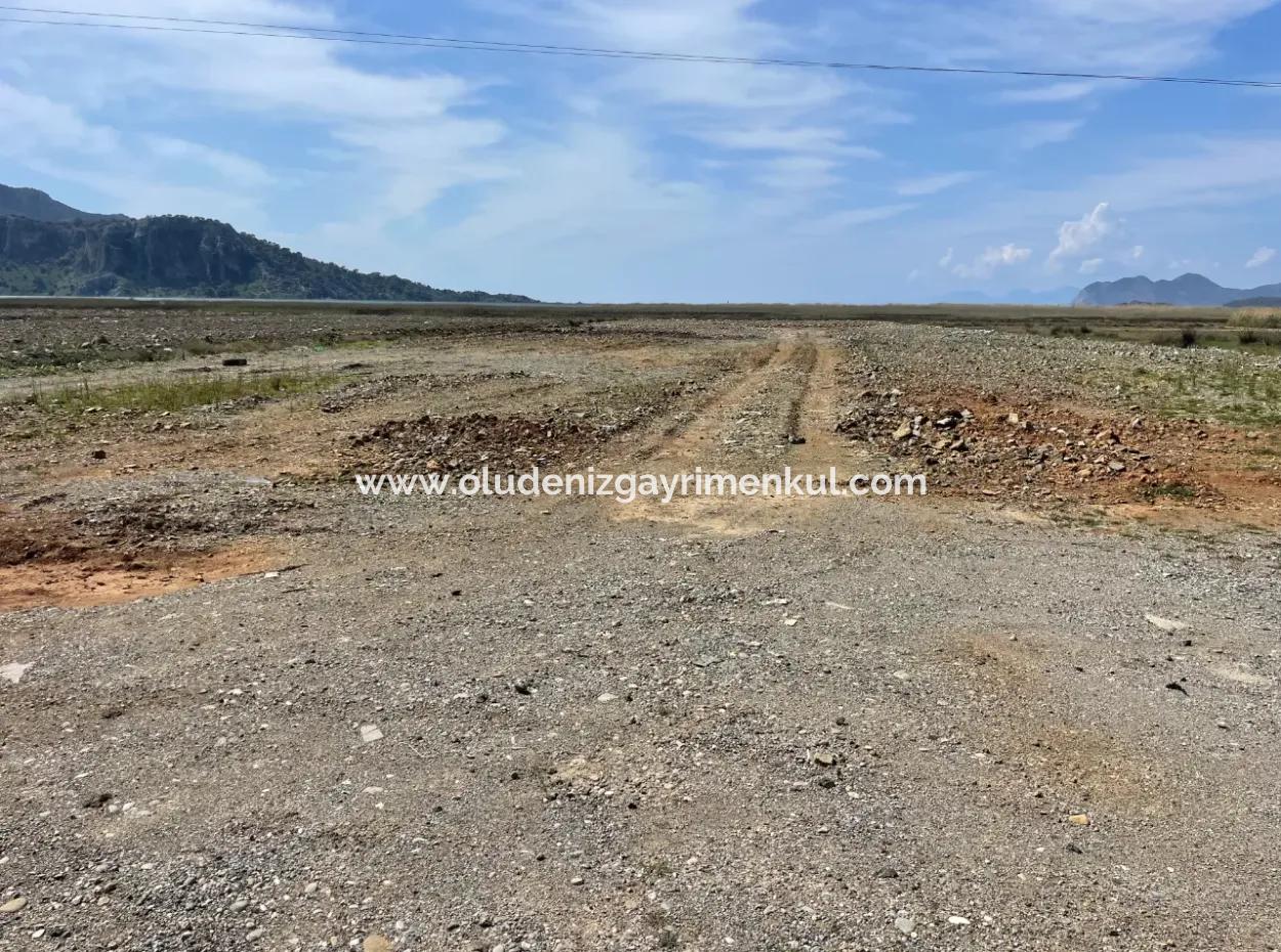 Dalyan Iztuzu Strand Straße Null 19.600M2 Feld Land Zum Verkauf