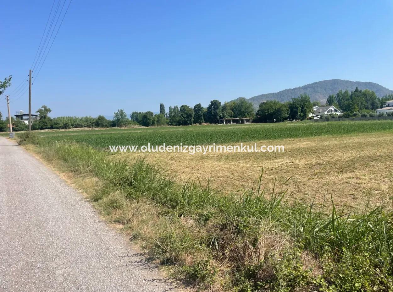 Grundstück Zum Verkauf Von 2715M2 Im Bebauten Gebiet Des Dorfes In Okçular