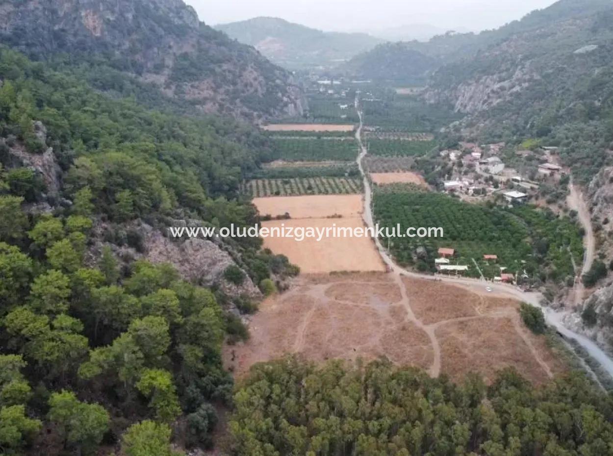 3578M2 Feld Zum Verkauf An Der Straße Von Aşı Koyu In Mergenlide