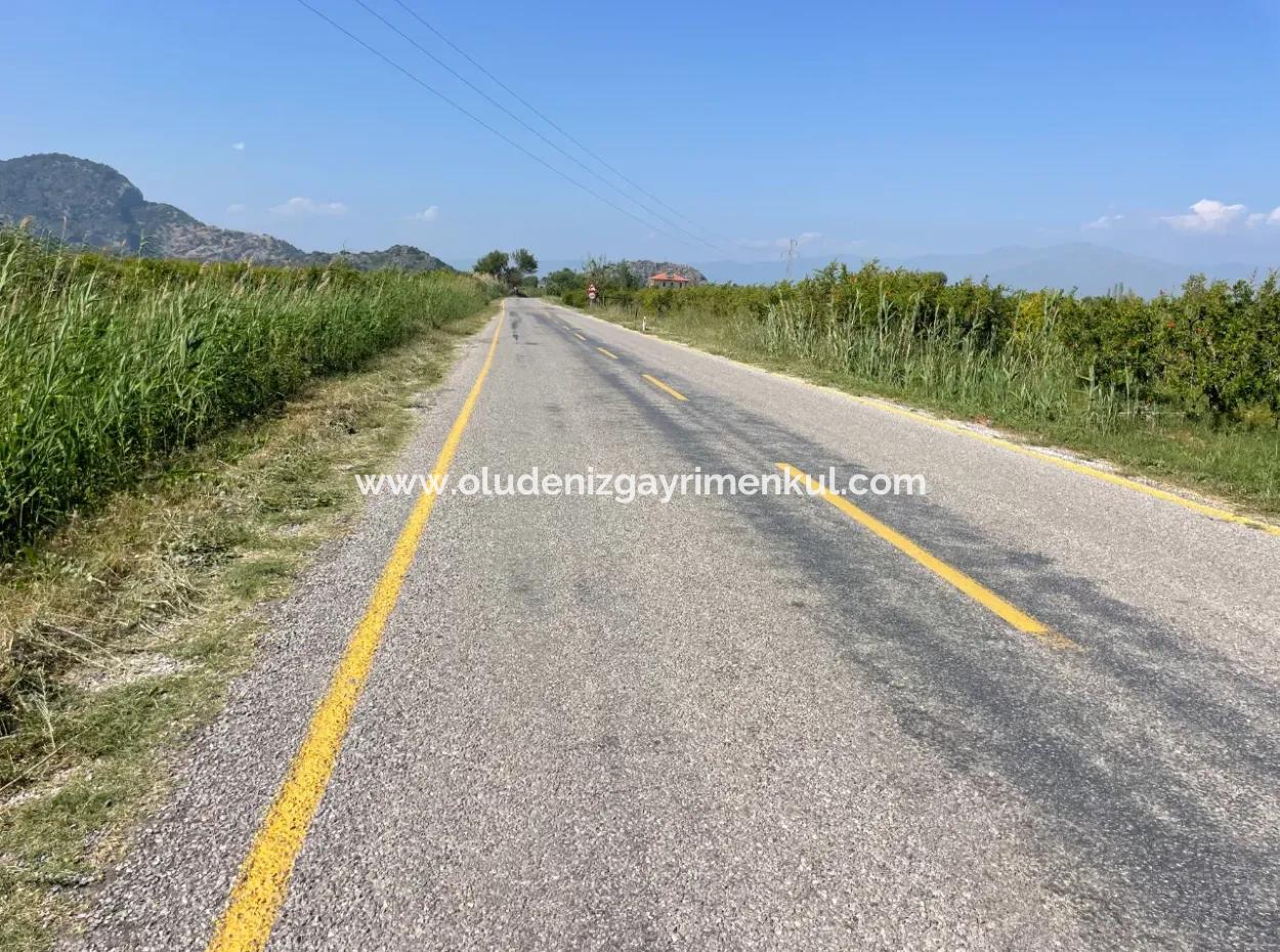 6.500 M2 Feld Zum Verkauf An Der Iztuzu-Straße In Dalyan