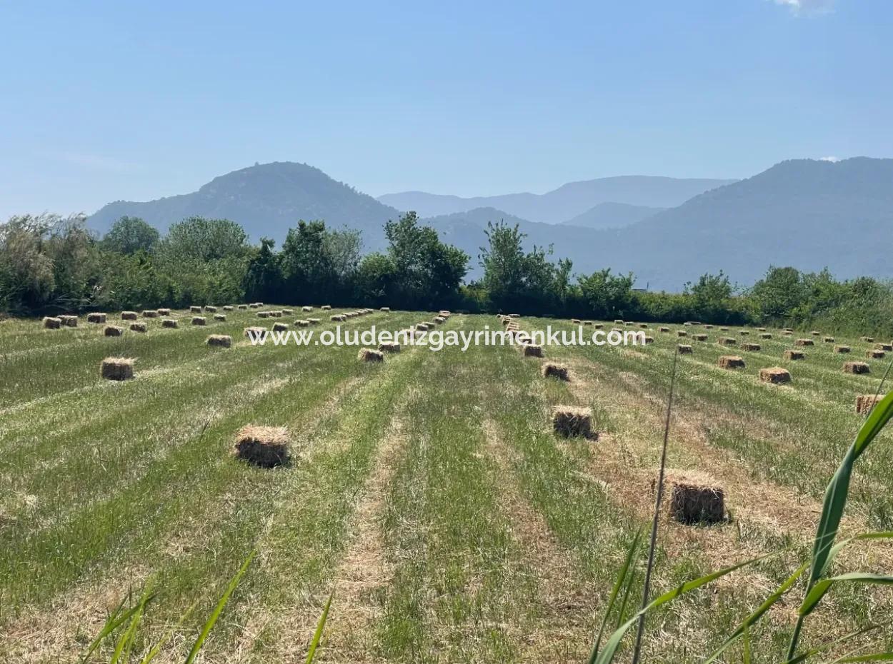 6.500 M2 Feld Zum Verkauf An Der Iztuzu-Straße In Dalyan