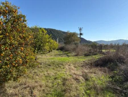 23.000M2 Freistehender Feldgarten Zum Verkauf In Tepearasin,