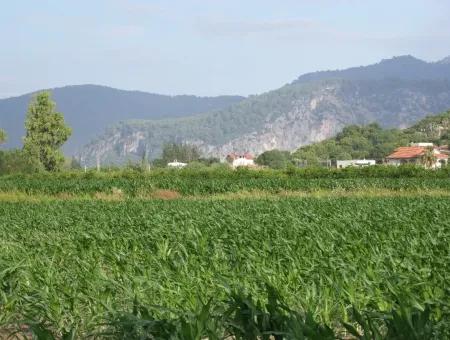 Bauernhof Zum Verkauf In Der Nähe Des Zentrums Von Dalyan,14, 612M2 Bauernhof Zum Verkauf