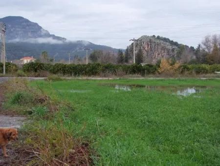 Gulpinar Dalyan Dalyan Zum Verkauf In 1002M2 Grundstück Für Verkauf Zum Verkauf Eckstein