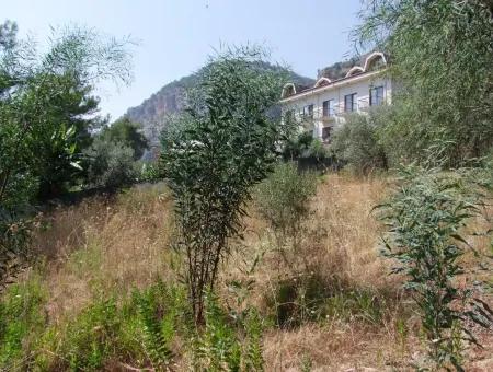 Land Zu Verkaufen In Gocek Fethiye Göcekde 2017M2 Land Zum Verkauf Mit Full Sea View