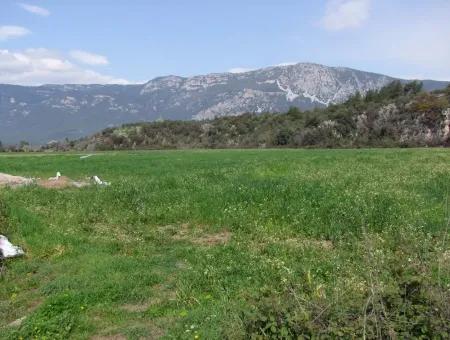 In Akyaka Zum Verkauf: Grundstück Zum Verkauf Bauernhof Zum Verkauf Einer Farm In Der Nähe Vom Meer, In Ars, Yatirimlik 21625M2