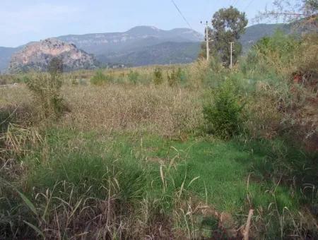 Grundstück Zum Verkauf In Dalyan Zum Verkauf In Dalyan-Kanal Null