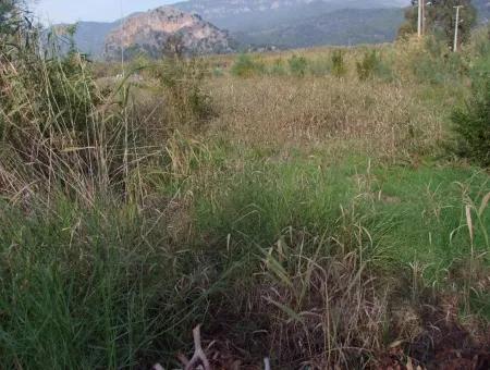 Grundstück Zum Verkauf In Dalyan Zum Verkauf In Dalyan-Kanal Null