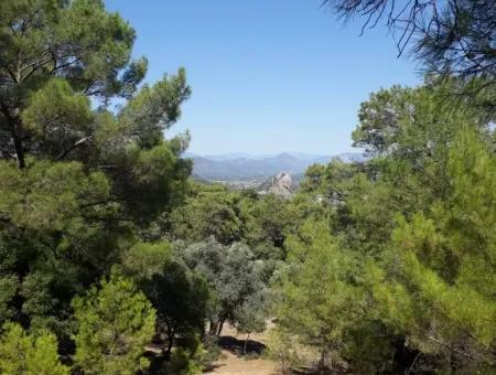 Dalyan Iztuzu In Der Dalyan Zum Verkauf Zum Verkauf In Der Candır 2367M2 2B