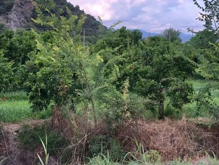 722M2 Grundstück Zum Verkauf In Dalyan Gülpınar Zum Verkauf