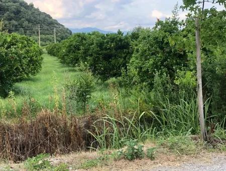 722M2 Grundstück Zum Verkauf In Dalyan Gülpınar Zum Verkauf