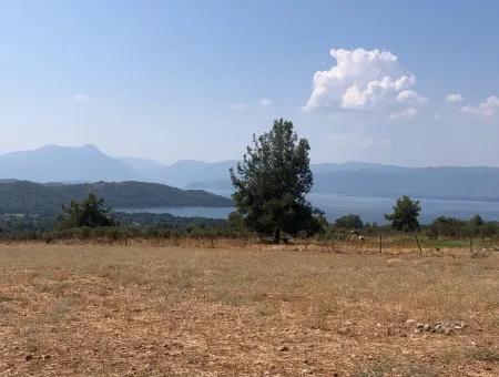 11.227M2 Grundstück Zum Verkauf Mit Seeblick In Köyceğiz Zeytinalan