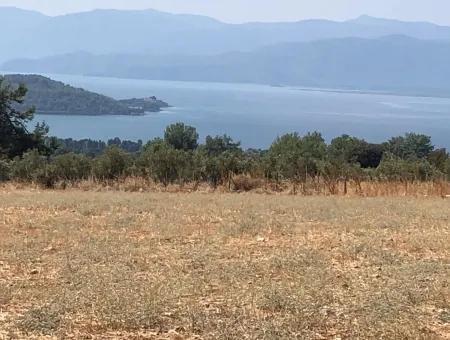 11.227M2 Grundstück Zum Verkauf Mit Seeblick In Köyceğiz Zeytinalan