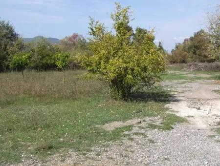 Grundstück Zu Verkaufen In Guzelyurt Land Zu Verkaufen Null 5515M2 Land Zum Verkauf An Der Hauptstraße