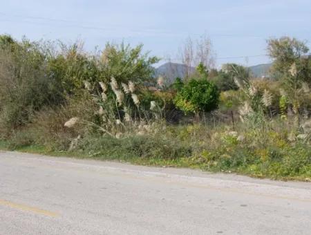 Grundstück Zu Verkaufen In Guzelyurt Land Zu Verkaufen Null 5515M2 Land Zum Verkauf An Der Hauptstraße