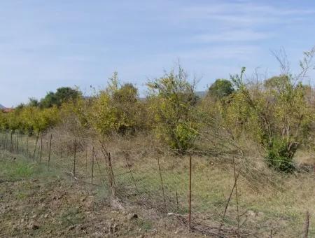 Güzelyurt Land Zu Verkaufen Dorf Gebaut 6670M2 Land Zum Verkauf