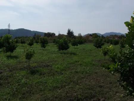 Güzelyurt Land Zu Verkaufen Dorf Gebaut 6670M2 Land Zum Verkauf