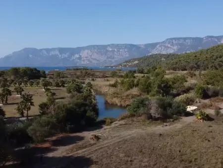 Land Zum Verkauf In 'Aml'da Marmaris 'Aml'da Meerblick 11720M2 Land Zu Verkaufen