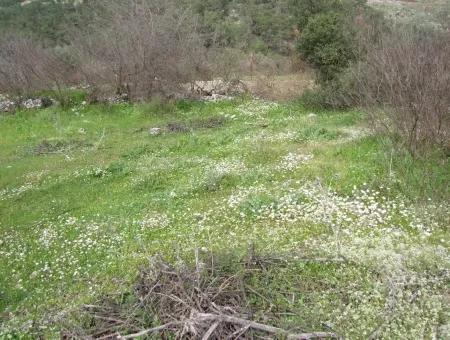 In Incirkoy Uzumlu Fethiye Grundstück Für Verkauf Bauernhof Zum Verkauf In Incirkoy