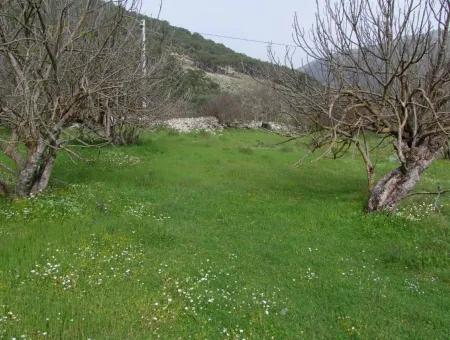 In Incirkoy Uzumlu Fethiye Grundstück Für Verkauf Bauernhof Zum Verkauf In Incirkoy