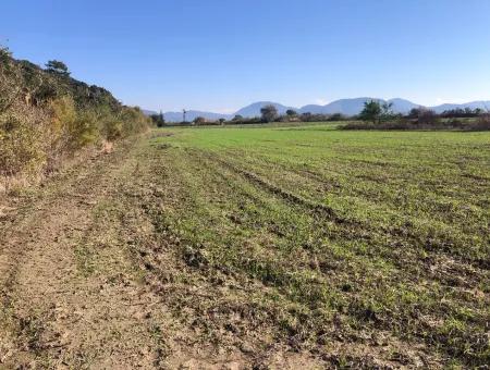 Land Zu Verkaufen In Sar'germede 30.000M2 Land Zum Verkauf Mit Meerblick