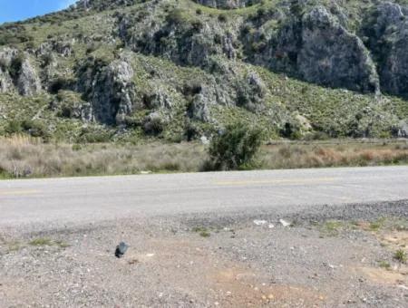 Dalyan Iztuzu Strand Straße Null 19.600M2 Feld Land Zum Verkauf