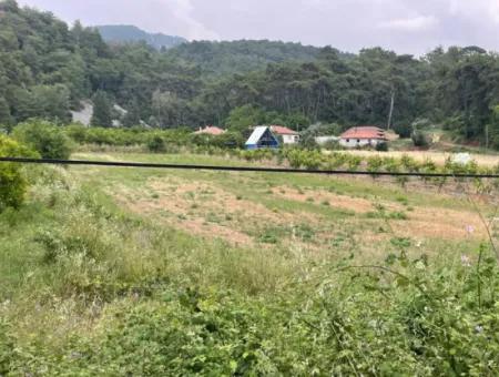 Gökbelde 14.000M2 Feld Zu Verkaufen