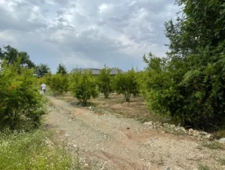 2.528M2 Feld Zum Verkauf In Der Nähe Des Zentrums Von Dalyan