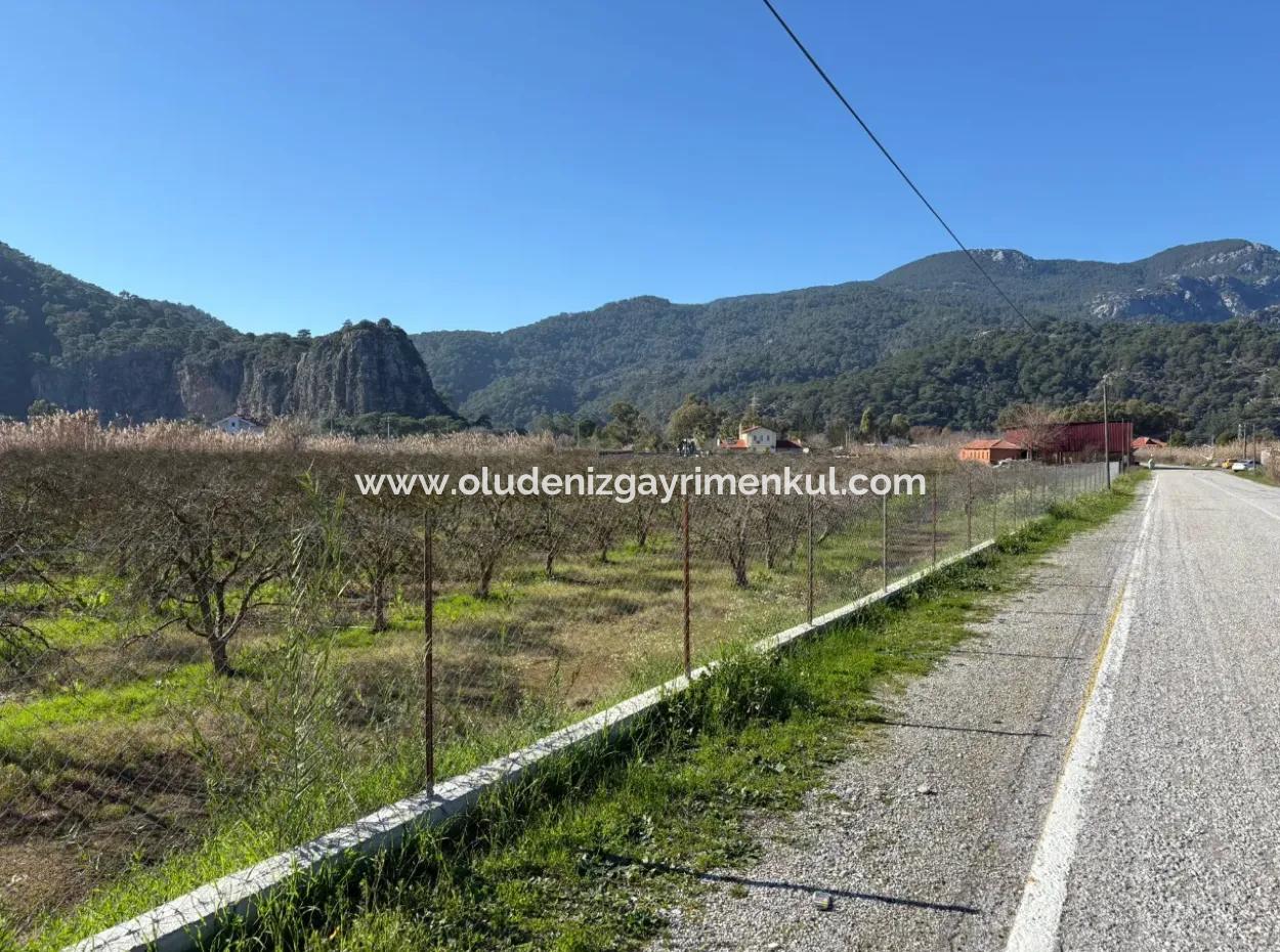 5985M2 5% Zoned Land For Sale In Dalyan As Vineyard Garden