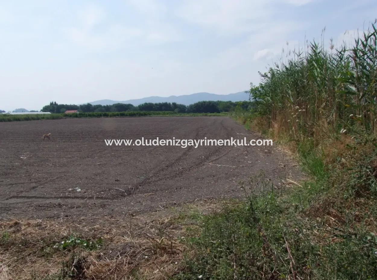 Farm For Sale In Dalyan Eskikoy Eskikoy Oriya 14,900M2 Plot For Sale Field