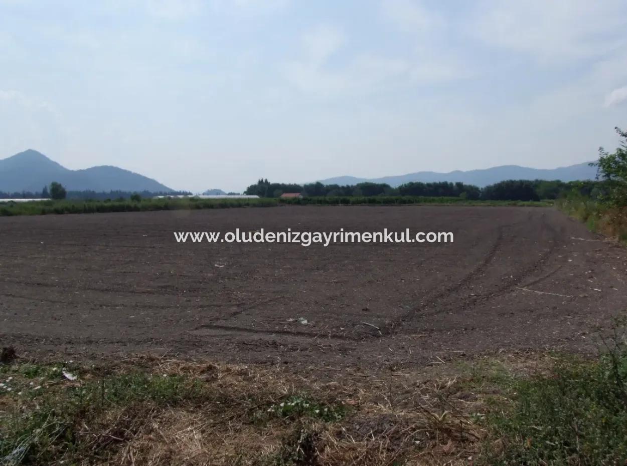 Farm For Sale In Dalyan Eskikoy Eskikoy Oriya 14,900M2 Plot For Sale Field