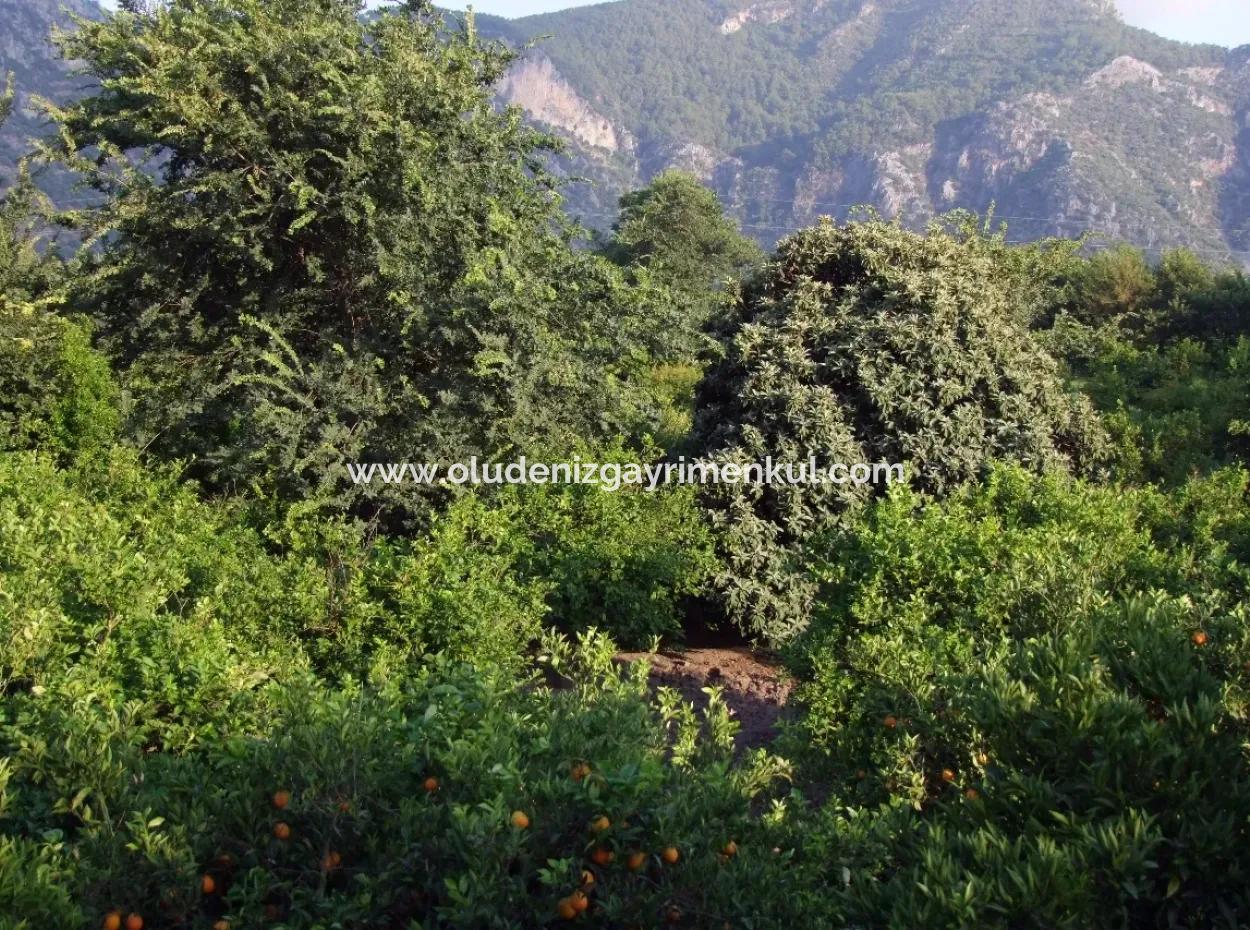 Near The Centre Of Dalyan In Dalyan Plot For Sale For Sale 987M2