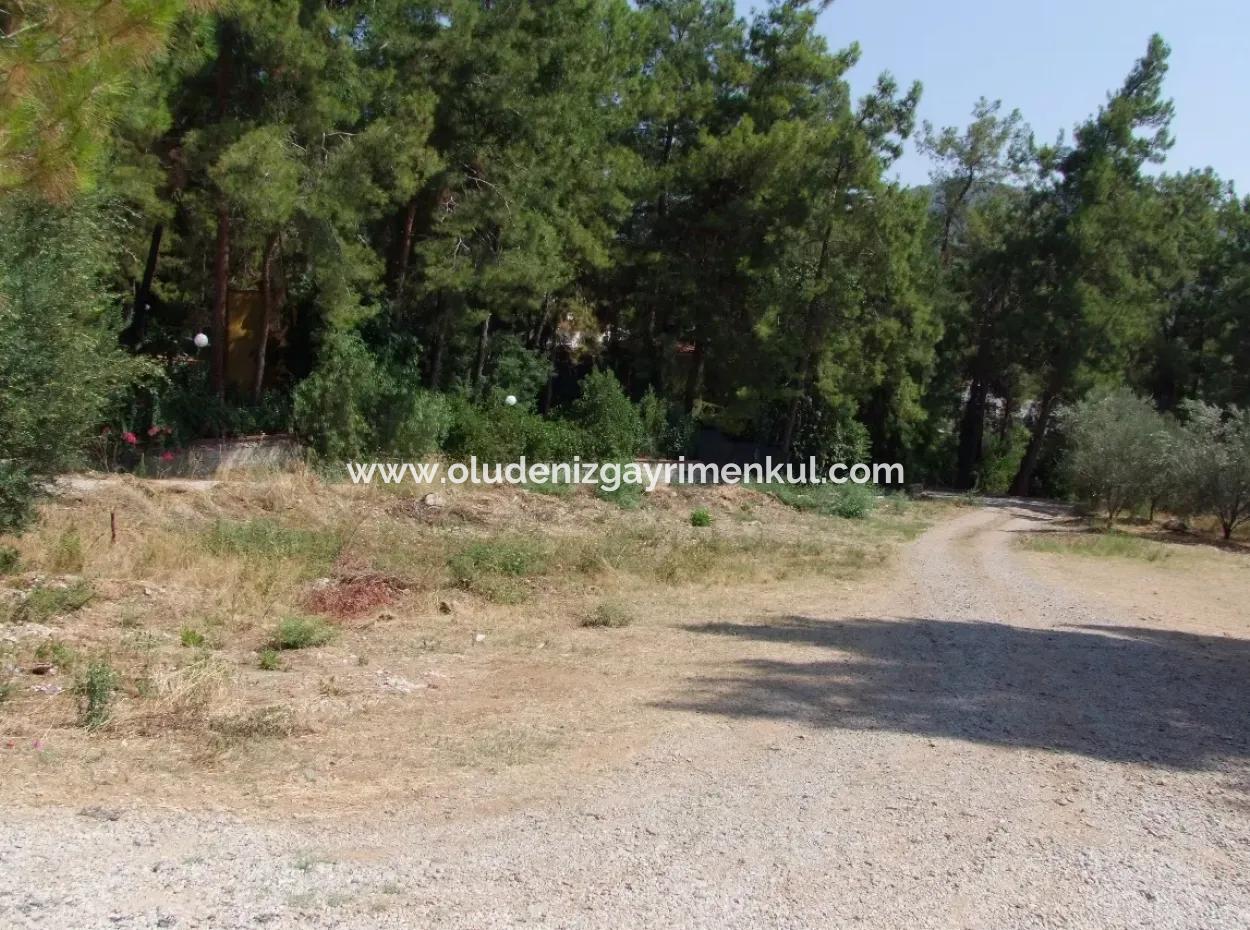 Land For Sale In Gocek Fethiye Göcekde 2017M2 Land For Sale With Full Sea View