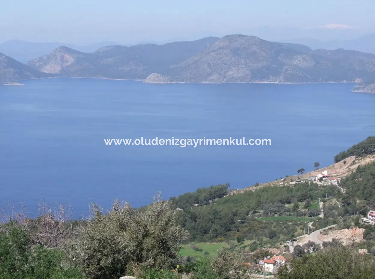 Land For Sale In Faralya With Full Sea View For Sale