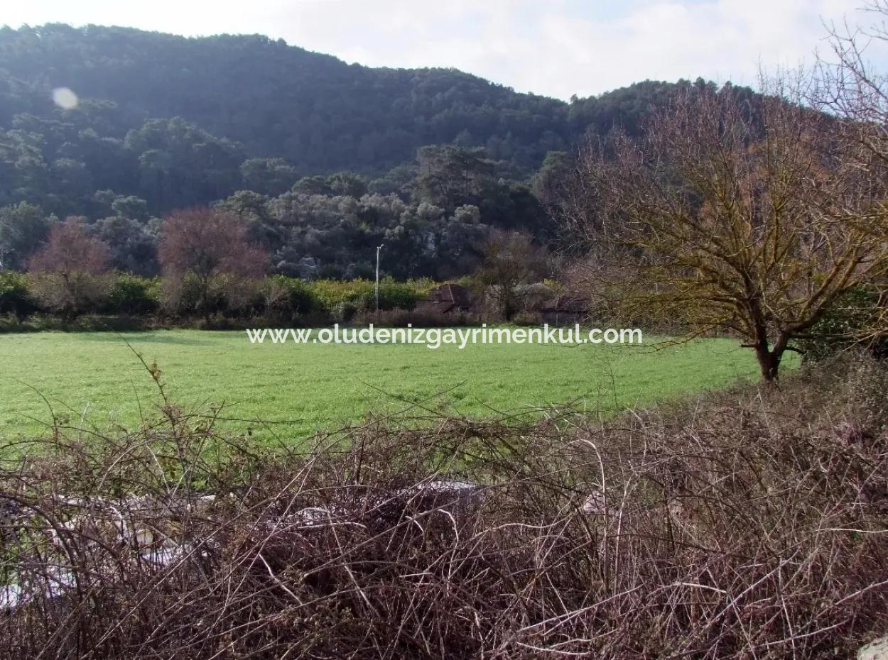 For Sale In Koycegiz, Dalyan Plot For Sale 10629M2