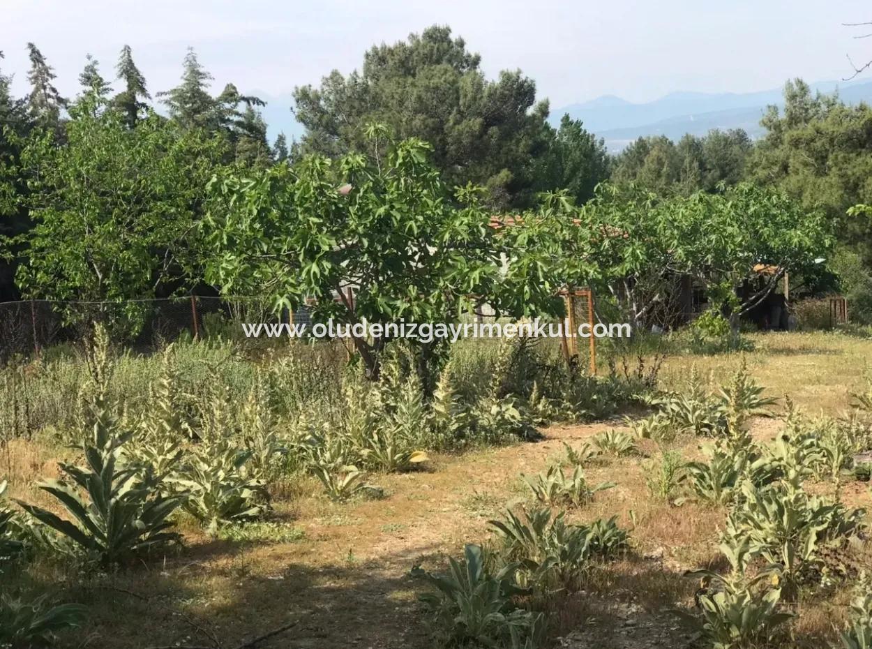 Land For Sale In Seydikemer Korubuku 76000M2