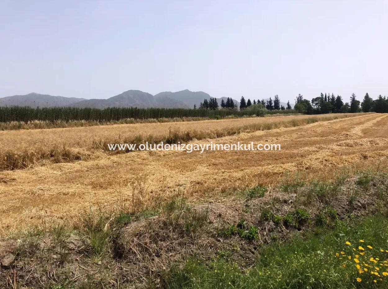 Farm Land For Sale 39 Acres In Eskikoy