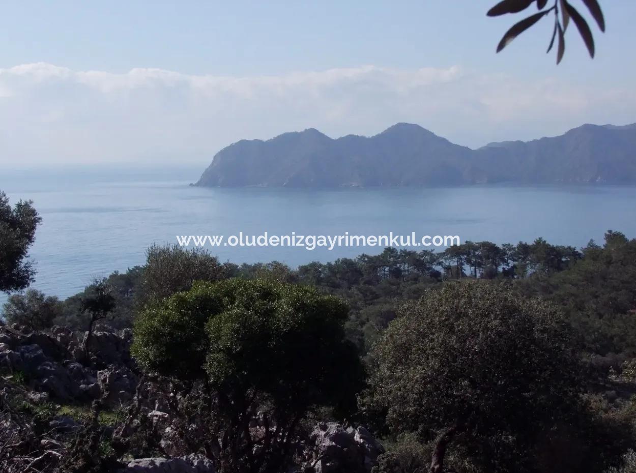 Çandır 5367M2 Farm Land For Sale Sea Views