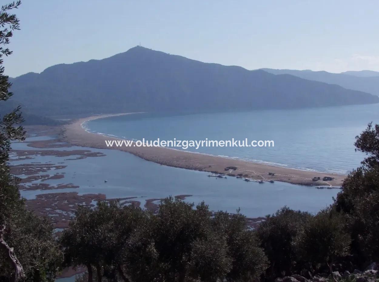 Çandır 5367M2 Farm Land For Sale Sea Views