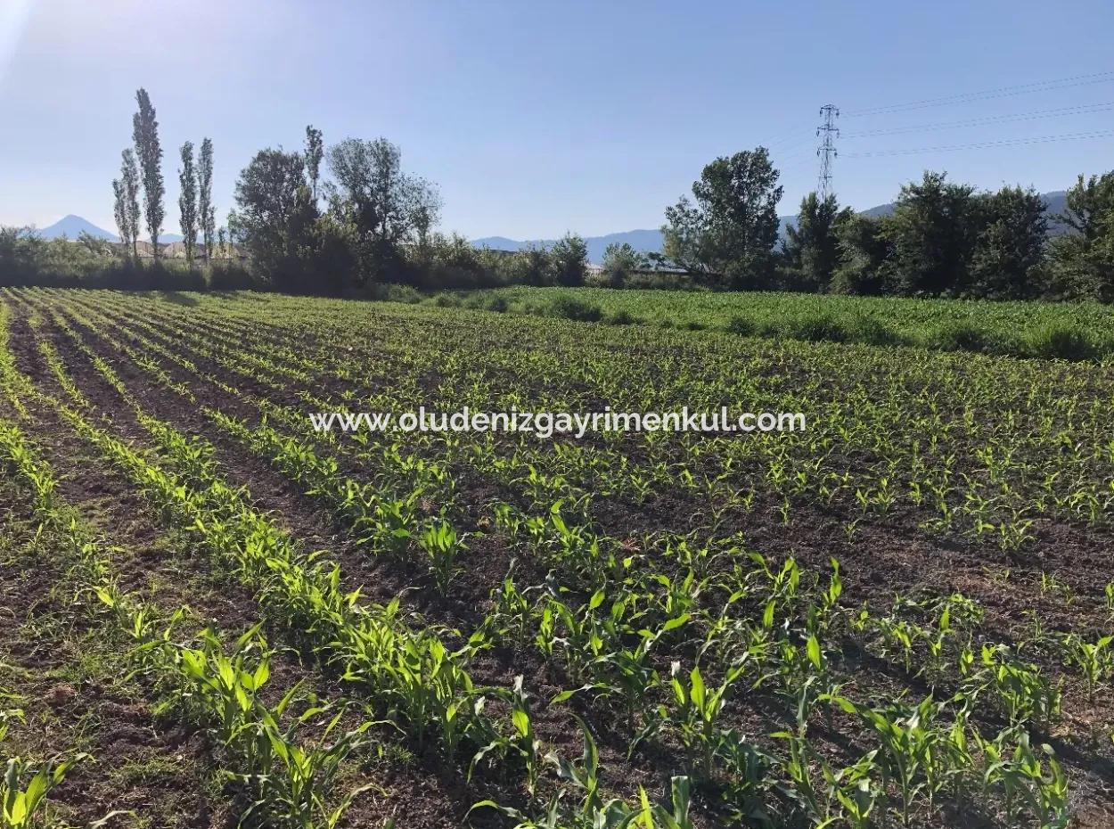 2200M2 Plot For Sale In Dalyan For Sale Dalyan