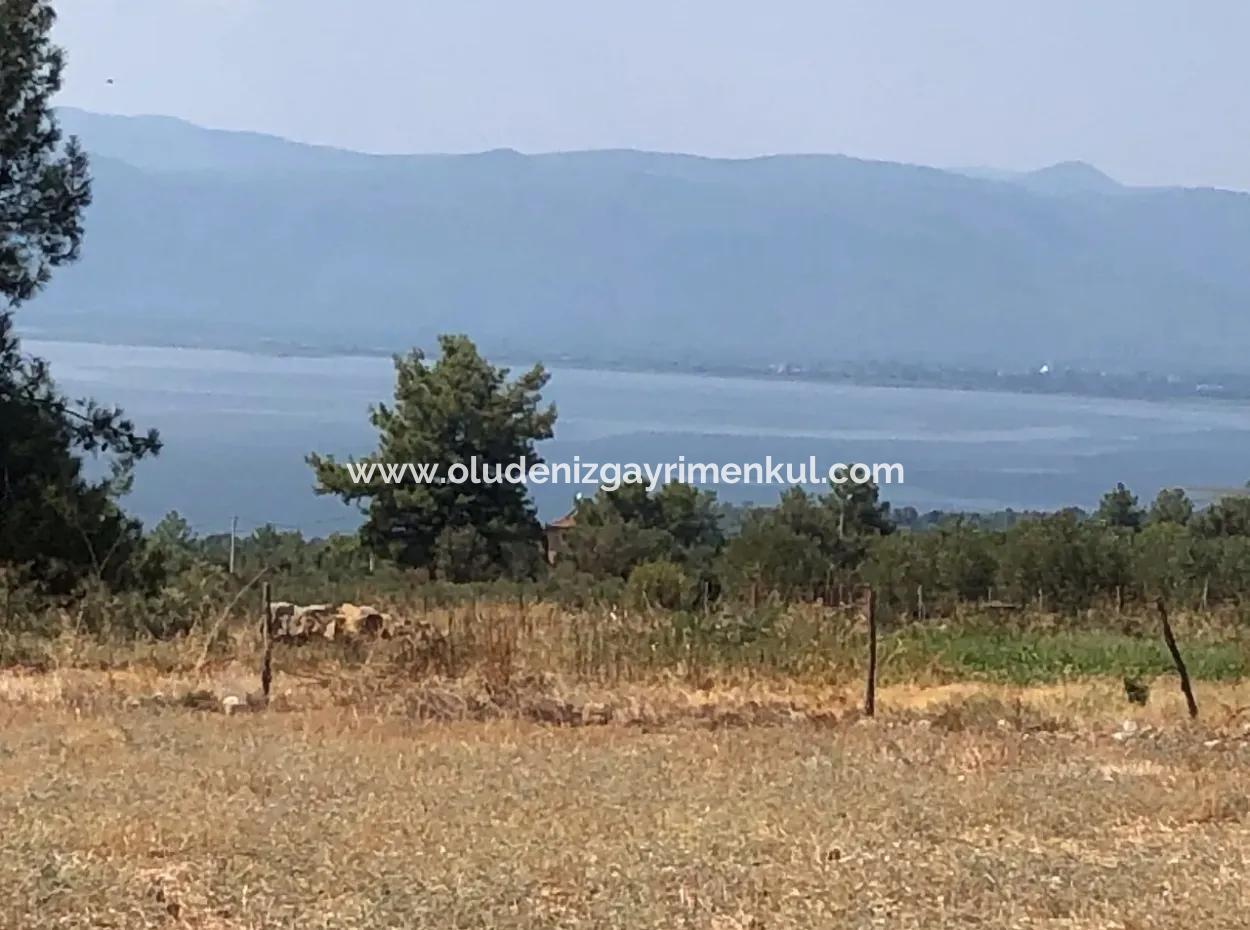 11.227M2 Land For Sale With Lake Views In Köyceğiz Zeytinalanı