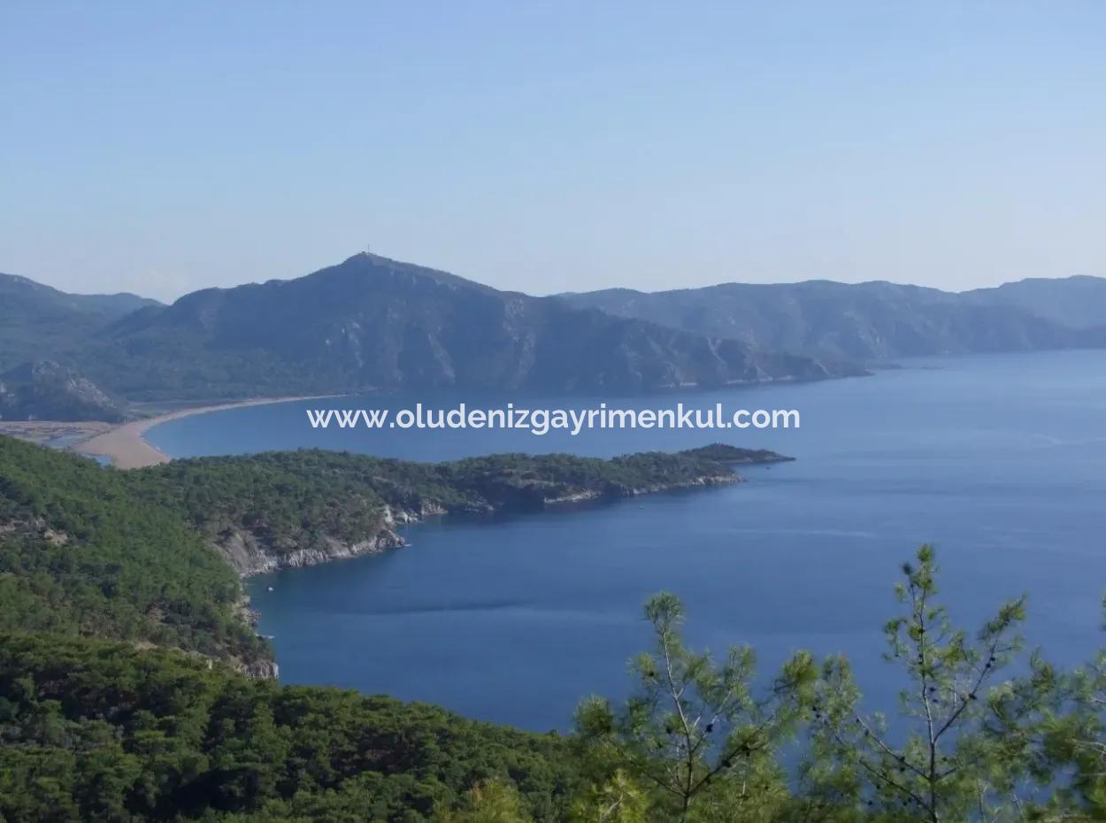 Real Estate Bargain Plot For Sale With Sea Views In Çandır Call In Ekincik