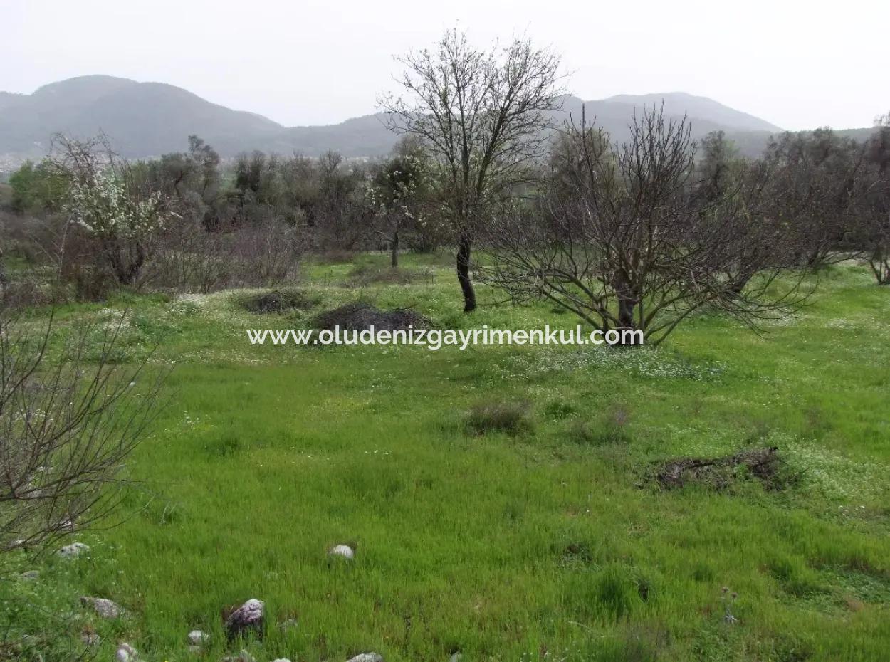 In Incirkoy Uzumlu Fethiye Plot For Sale Farm For Sale In Incirkoy