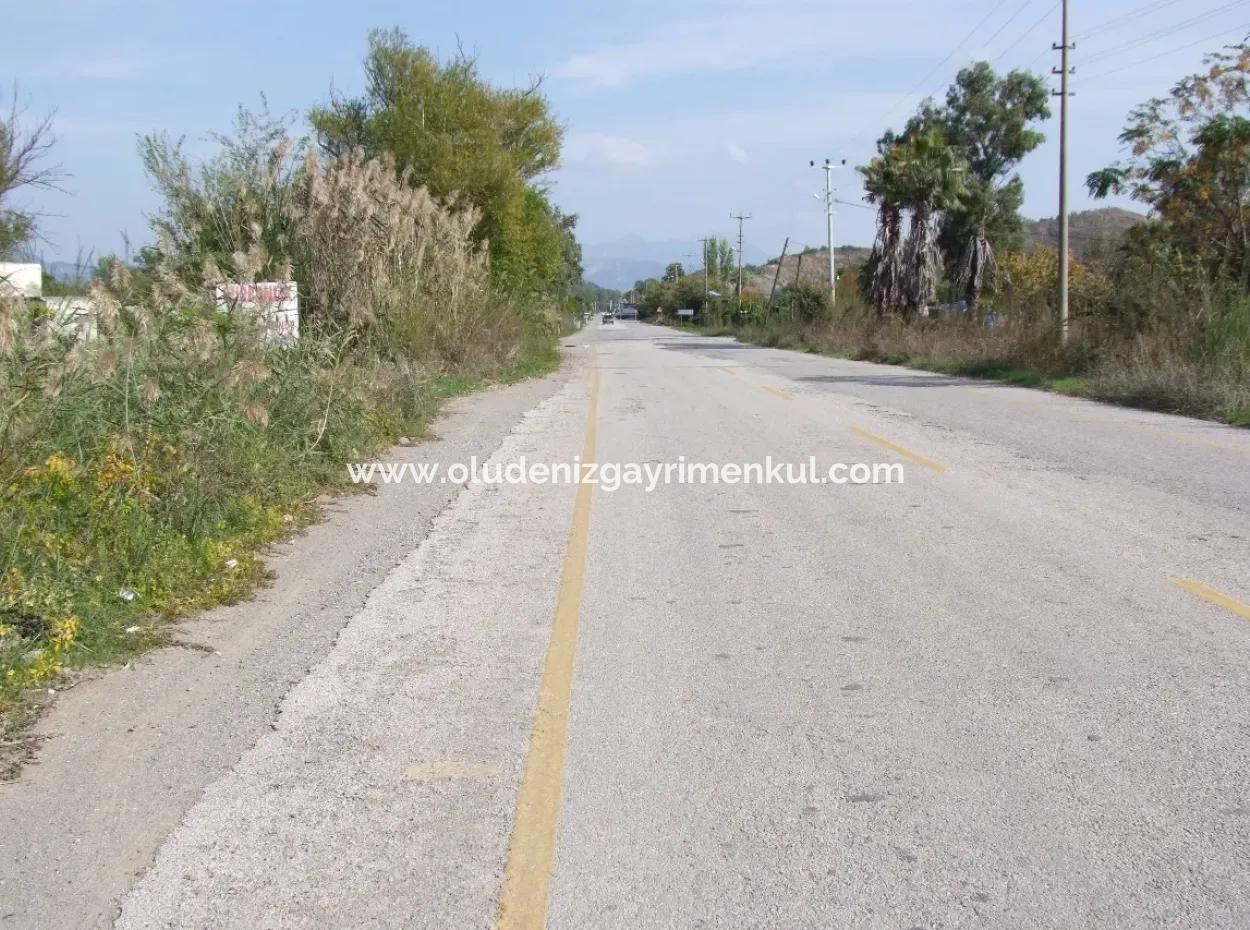 Land For Sale In Guzelyurt Land For Sale Zero 5515M2 Land For Sale On The Main Road