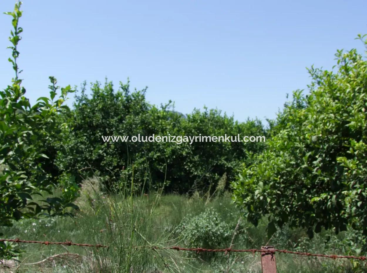 Land For Sale In Fevziyede 1197M2 Land For Sale