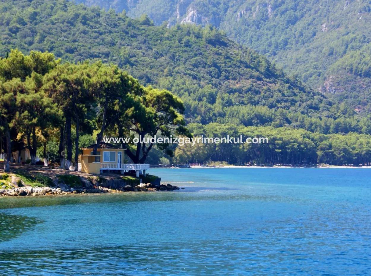 Land For Sale In Guzelçamlı With Sea View 3733M2 % Zoning Land For Sale